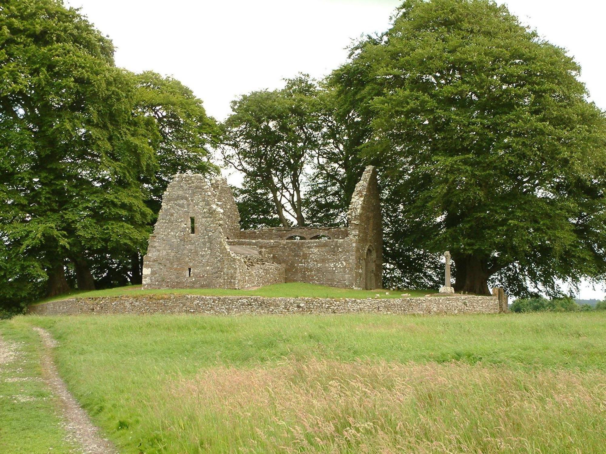 Slidala B&B Roscrea Esterno foto