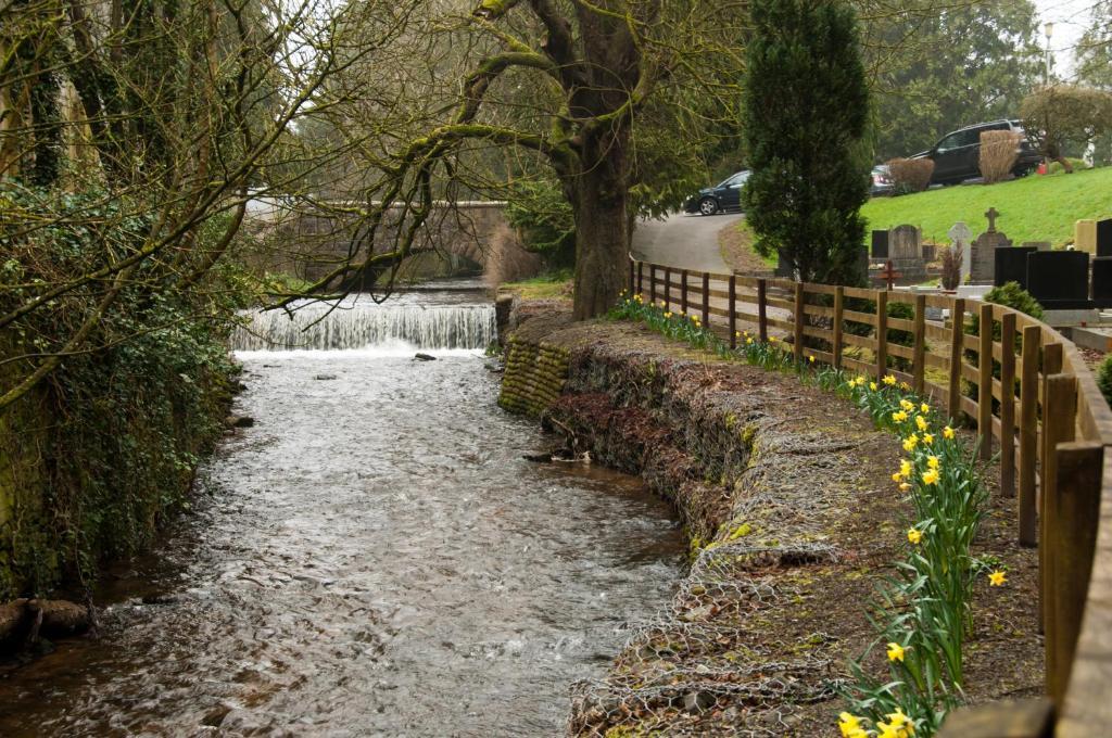 Slidala B&B Roscrea Esterno foto